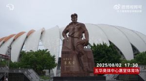 【比赛日Vlog】中超联赛第19轮:梅州客家2比4上海海港